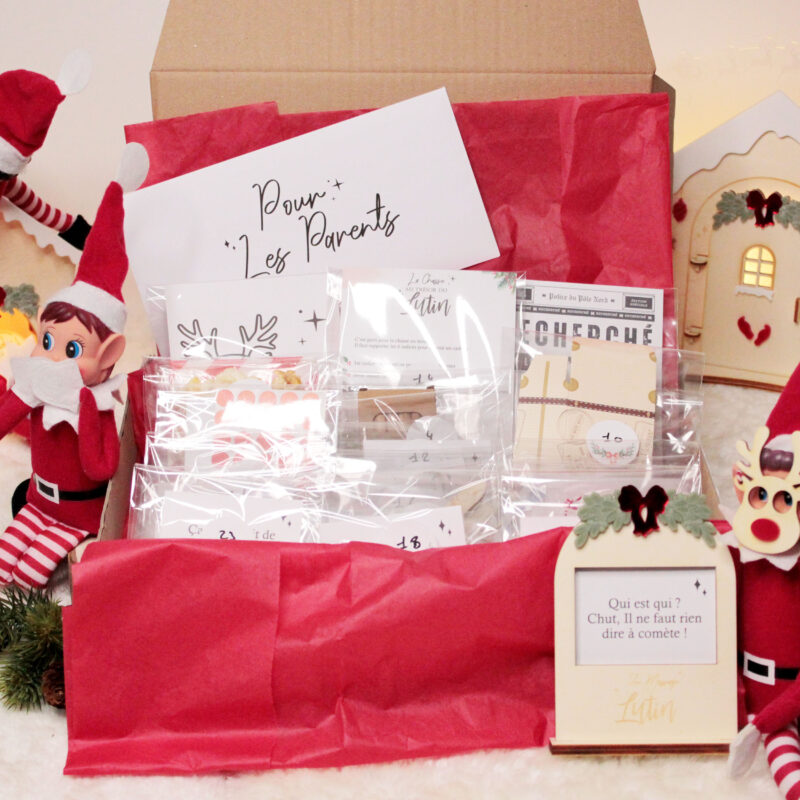 Kit lutin farceur complet avec 24 bêtises et accessoires