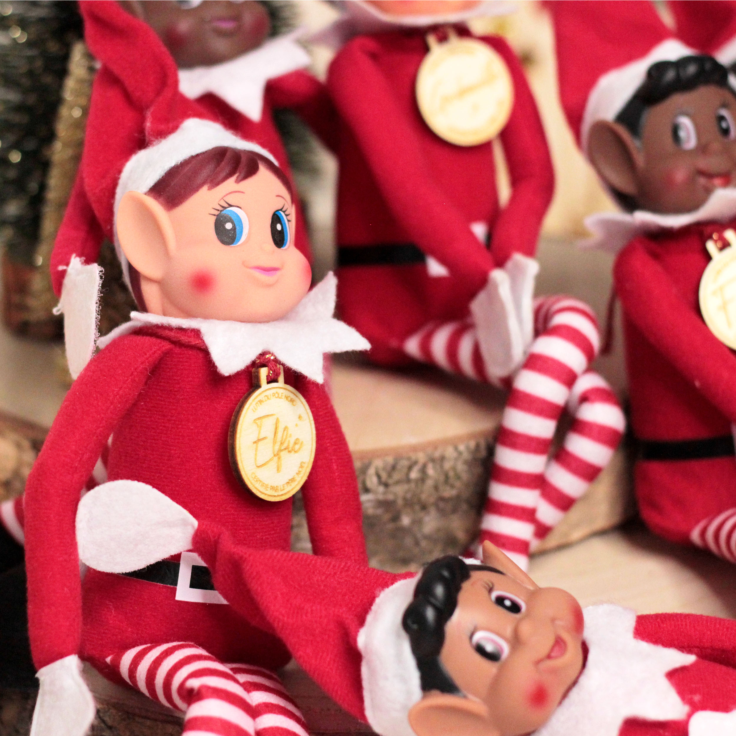 Lutin farceur de Noël avec médaillon personnalisé en bois